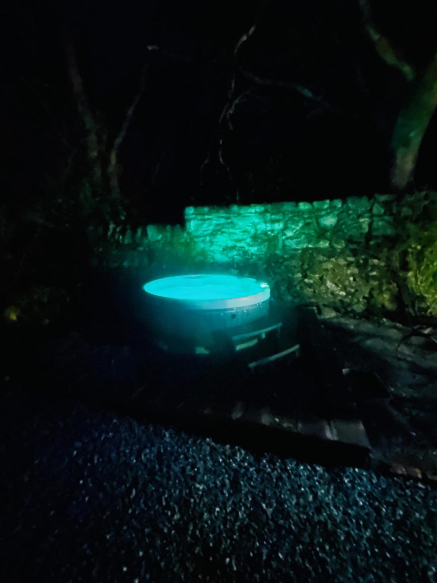 Tiny Romantic Retreat With Hot Tub On A Country Estate Near Cardigan Bay In Eryri Snowdonia Llanbedr  Exteriör bild